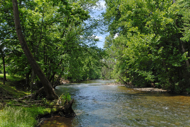 Grizzly River - River Pointe 556 - Cottage in Pigeon Forge with hot tub ...