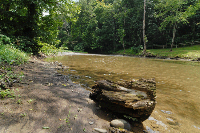 River Escape River Pointe 581 Luxury Cottage In Pigeon Forge